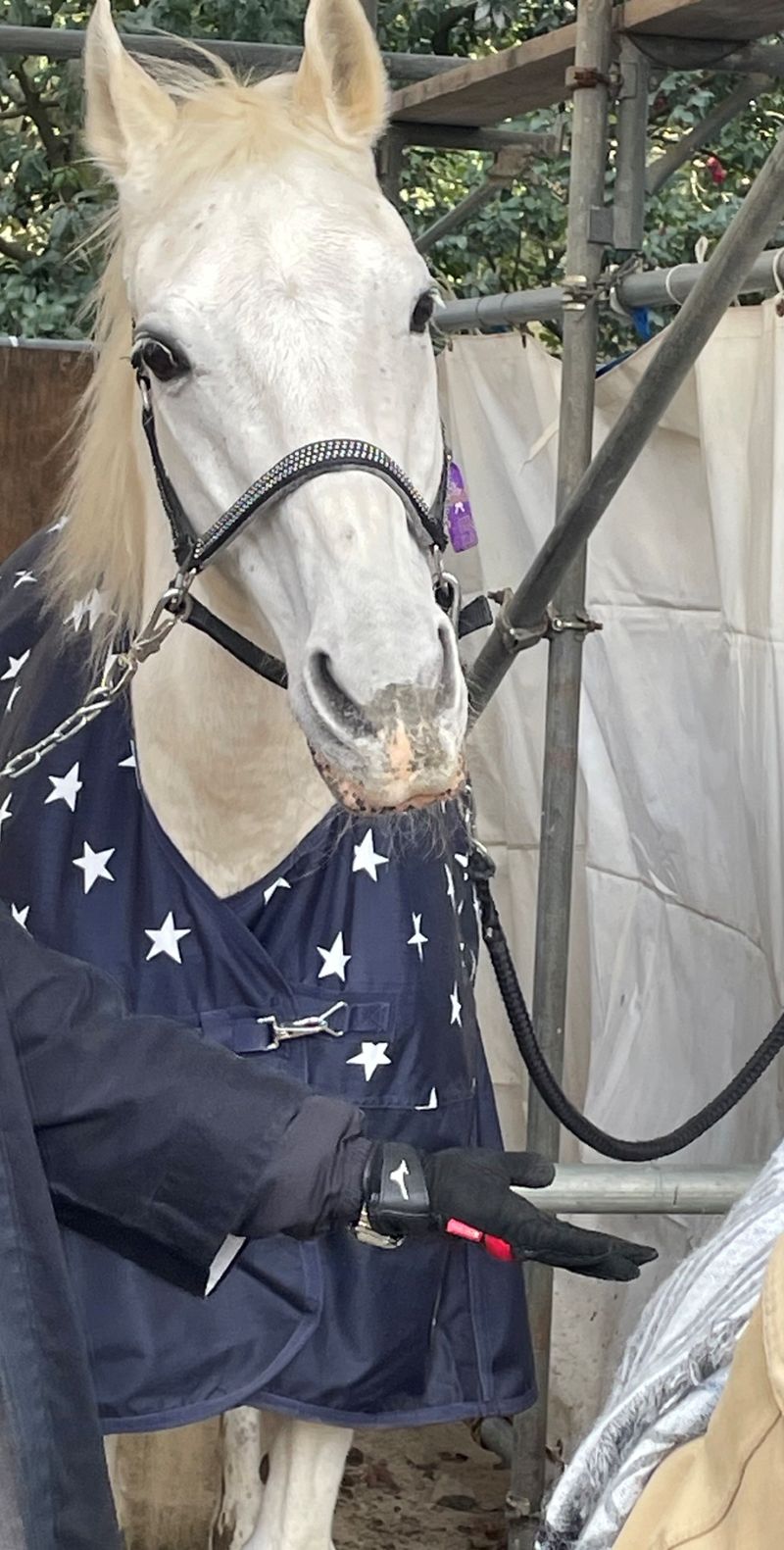 2026年　丙午の年